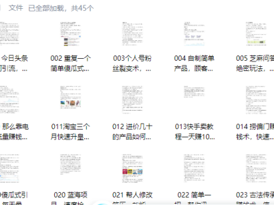 45个暴利项目价值5980