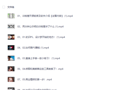 在某机构哪里花1999买来的PS+AI设计高效训练营课程