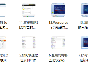 SEO快速赚钱实战密码