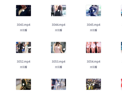 500部车模小姐姐高清短视频合集