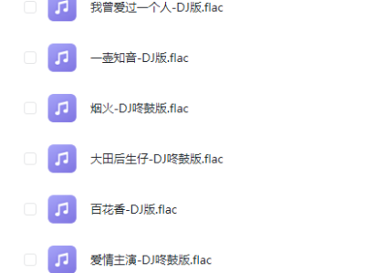 精选车载DJ，男人开车必听版