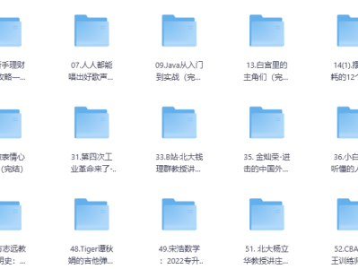 B站付费项目合集，价值1999