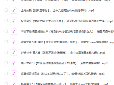 很难得才搞来的精选车载无损音乐